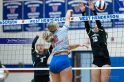Girls Volleyball: East Henderson at West Henderson (BR3_0500)