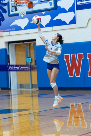 Girls Volleyball: East Henderson at West Henderson (BR3_0542)