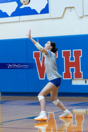Girls Volleyball: East Henderson at West Henderson (BR3_0547)