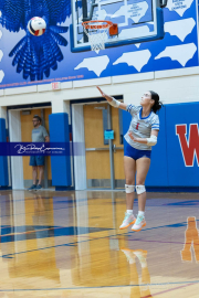 Girls Volleyball: East Henderson at West Henderson (BR3_0551)