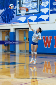 Girls Volleyball: East Henderson at West Henderson (BR3_0562)