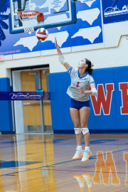 Girls Volleyball: East Henderson at West Henderson (BR3_0607)