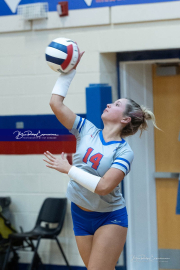 Girls Volleyball: East Henderson at West Henderson (BR3_0648)