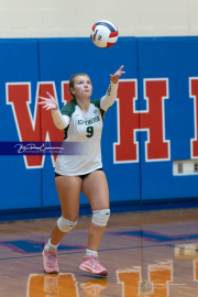 Girls Volleyball: East Henderson at West Henderson (BR3_0700)