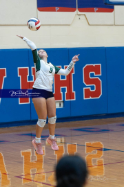 Girls Volleyball: East Henderson at West Henderson (BR3_0703)