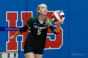 Girls Volleyball: East Henderson at West Henderson (BR3_0715)
