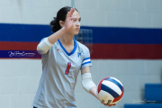 Girls Volleyball: East Henderson at West Henderson (BR3_0818)