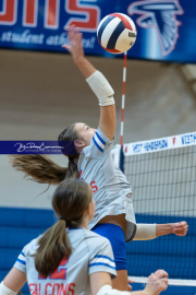 Girls Volleyball: East Henderson at West Henderson (BR3_0835)