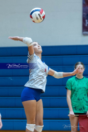 Girls Volleyball: East Henderson at West Henderson (BR3_0864)