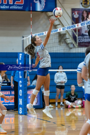 Girls Volleyball: East Henderson at West Henderson (BR3_0907)