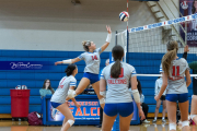Girls Volleyball: East Henderson at West Henderson (BR3_0931)