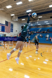 Girls Volleyball: East Henderson at West Henderson (BR3_9790)