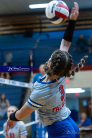 Falcon Bash Invitational Volleyball Tournament (BR3_1103)
