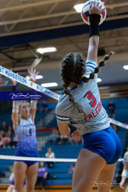 Falcon Bash Invitational Volleyball Tournament (BR3_1148)
