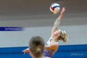 Falcon Bash Invitational Volleyball Tournament (BR3_1504)