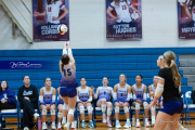 Falcon Bash Invitational Volleyball Tournament (BR3_1539)