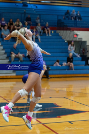 Falcon Bash Invitational Volleyball Tournament (BR3_1584)