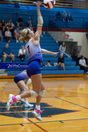Falcon Bash Invitational Volleyball Tournament (BR3_1588)