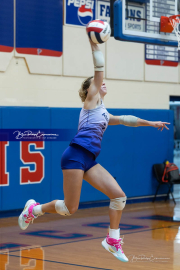 Falcon Bash Invitational Volleyball Tournament (BR3_1599)