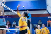 Falcon Bash Invitational Volleyball Tournament (BR3_1845)