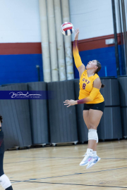 Falcon Bash Invitational Volleyball Tournament (BR3_1860)