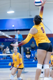 Falcon Bash Invitational Volleyball Tournament (BR3_1918)