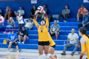 Falcon Bash Invitational Volleyball Tournament (BR3_1941)