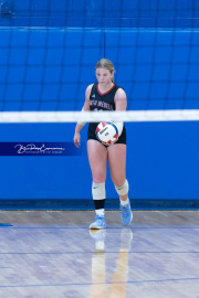 Falcon Bash Invitational Volleyball Tournament (BR3_1961)