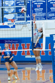 Falcon Bash Invitational Volleyball Tournament (BR3_2150)