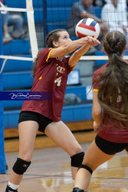 Falcon Bash Invitational Volleyball Tournament (BR3_2161)