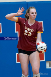 Falcon Bash Invitational Volleyball Tournament (BR3_2256)
