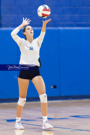 Falcon Bash Invitational Volleyball Tournament (BR3_2775)