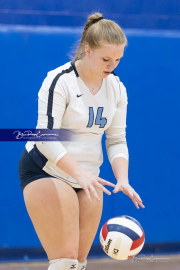 Falcon Bash Invitational Volleyball Tournament (BR3_2950)