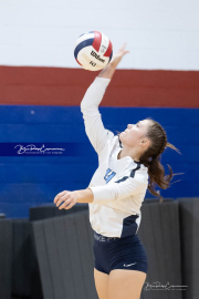Falcon Bash Invitational Volleyball Tournament (BR3_3488)