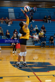 Falcon Bash Invitational Volleyball Tournament (BR3_3550)