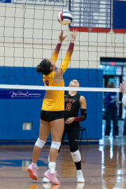 Falcon Bash Invitational Volleyball Tournament (BR3_3677)