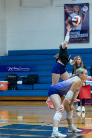 Falcon Bash Invitational Volleyball Tournament (BR3_3781)