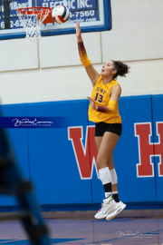 Falcon Bash Invitational Volleyball Tournament (BR3_3889)