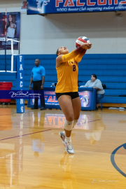 Falcon Bash Invitational Volleyball Tournament (BR3_3915)