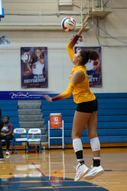 Falcon Bash Invitational Volleyball Tournament (BR3_3945)