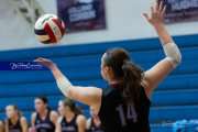 Falcon Bash Invitational Volleyball Tournament (BR3_4617)