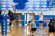 Falcon Bash Invitational Volleyball Tournament (BR3_4648)