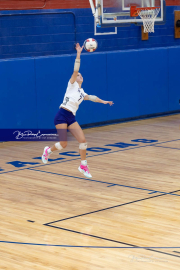 Falcon Bash Invitational Volleyball Tournament (BR3_4963)