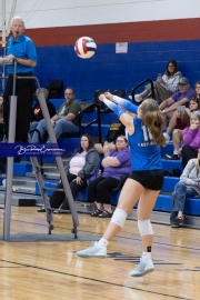 Falcon Bash Invitational Volleyball Tournament (BR3_5543)