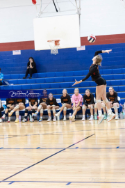 Falcon Bash Invitational Volleyball Tournament (BR3_5916)
