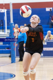 Falcon Bash Invitational Volleyball Tournament (BR3_5939)