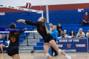 Falcon Bash Invitational Volleyball Tournament (BR3_6003)