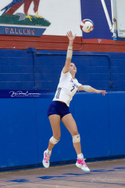 Falcon Bash Invitational Volleyball Tournament (BR3_6486)