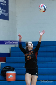 Falcon Bash Invitational Volleyball Tournament (BR3_6959)