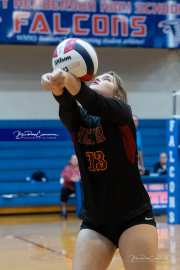 Falcon Bash Invitational Volleyball Tournament (BR3_7020)